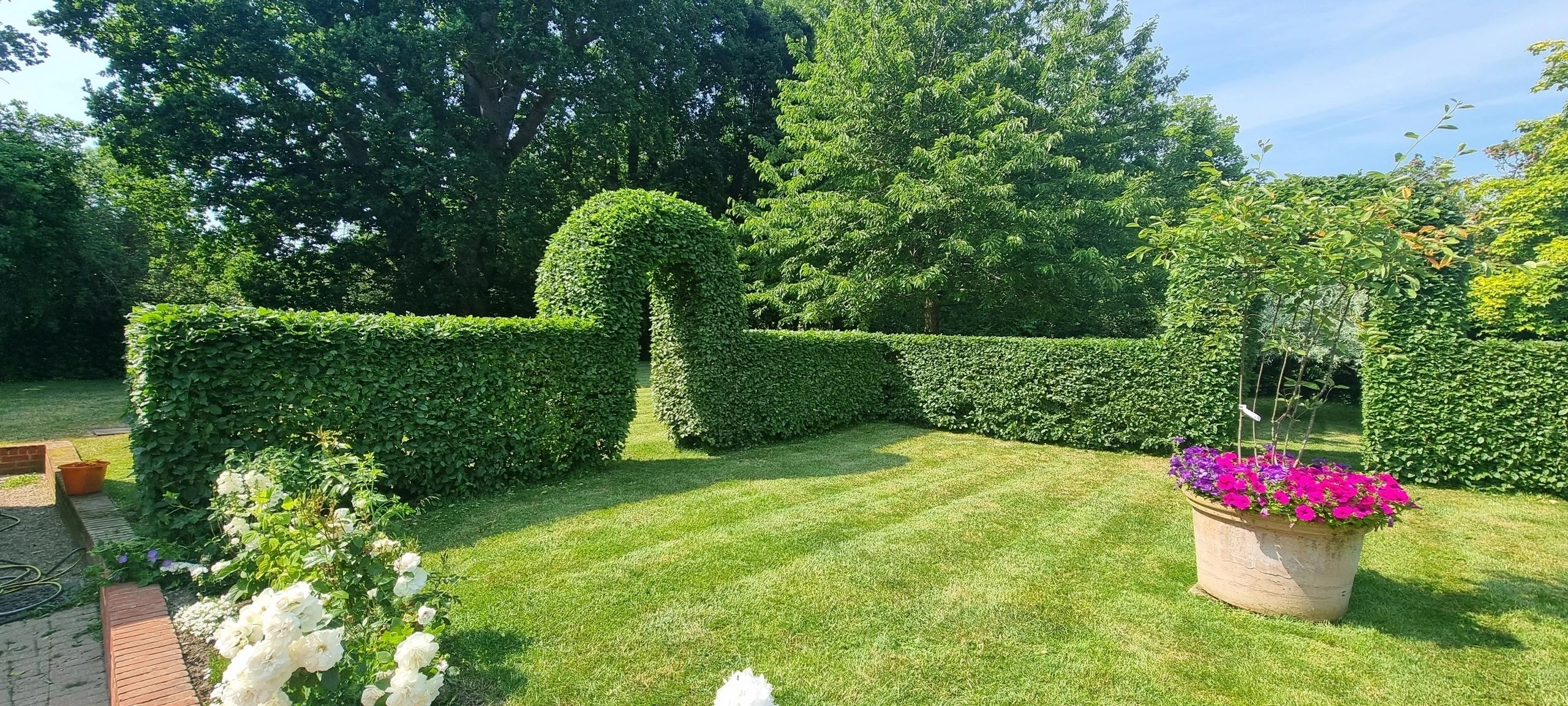 Formal garden with sculpted hedges and flowers